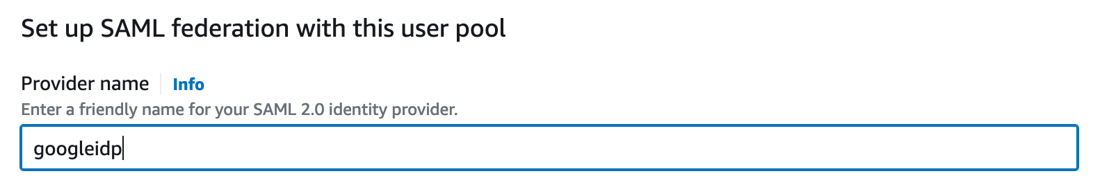 Cognito Setup Provider Name
